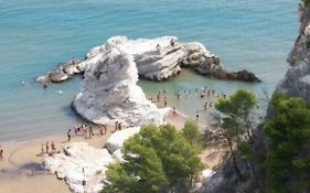 Kimera Beach Apartments